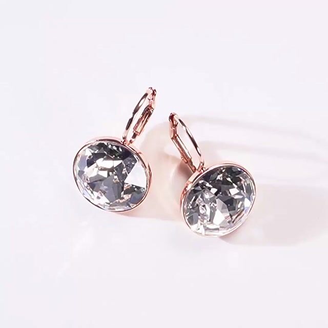 Bella Earrings with 8.5 Carat Clear Crystals Earrings